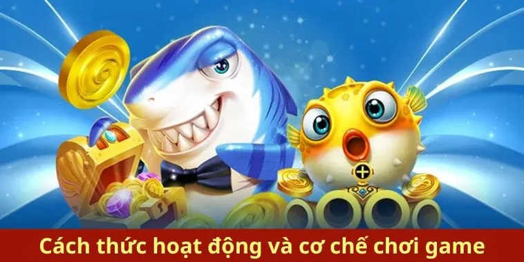 Hướng Dẫn Cách Chơi Bắn Cá Royal Fishing Tại AW88 Rinh Thưởng Lớn