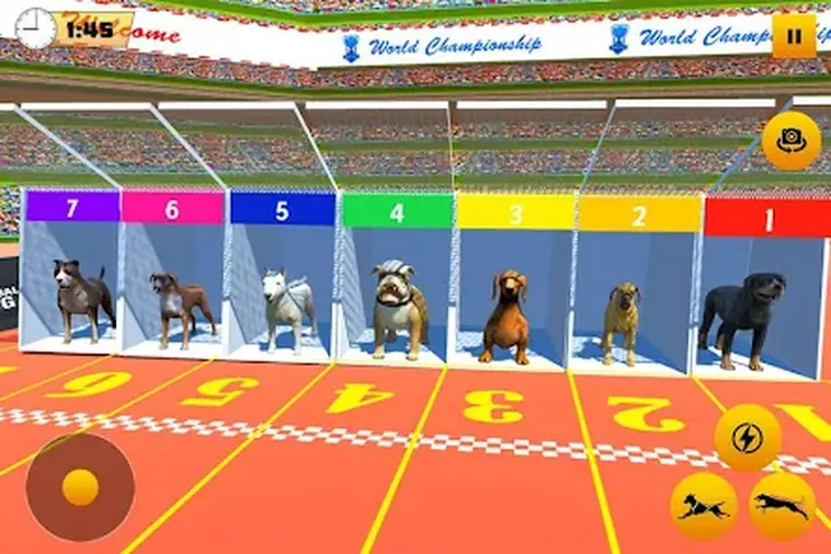Hướng Dẫn Cách Chơi Game Nhanh Đua Chó Tại AW88 Thắng Lớn Mỗi Ngày